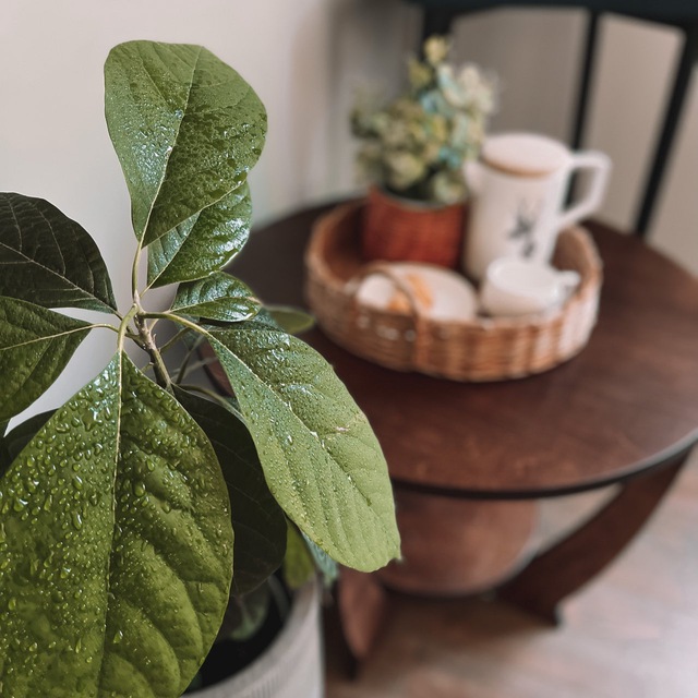 @lana_home_decor_