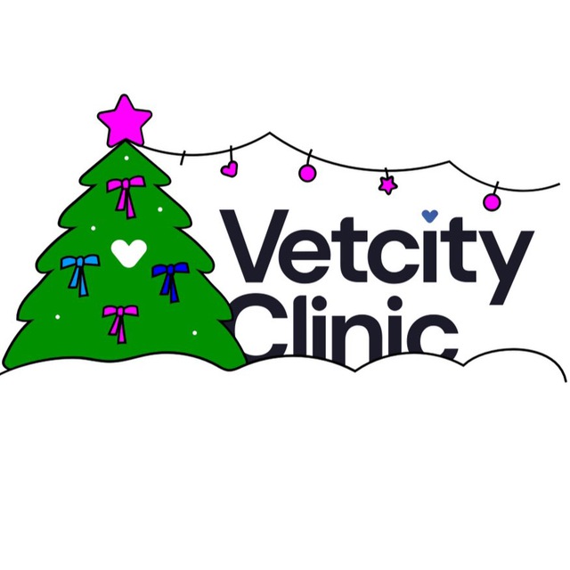 Vetcity Clinic