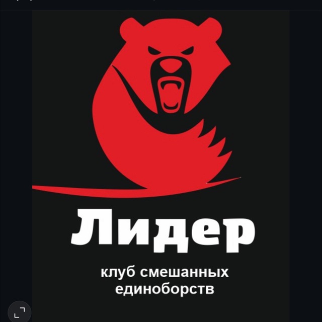 КСЕ Лидер?