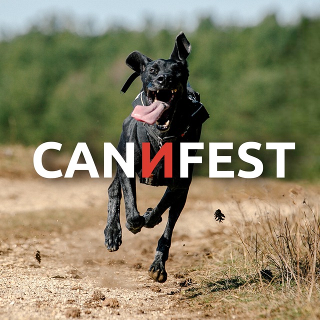 CANИFEST