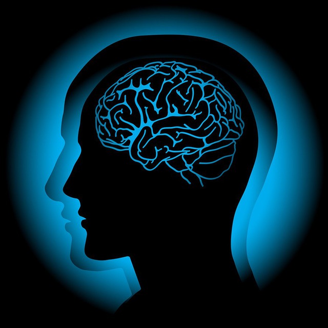 Умственное кино / Mind Movies