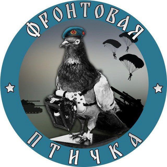 Telegram-канал "Фронтовая птичка" — @frontbird — TGStat