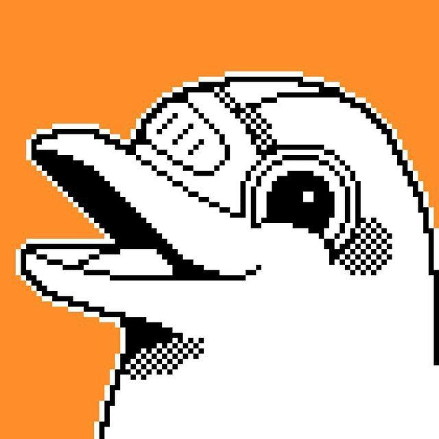Flipper News