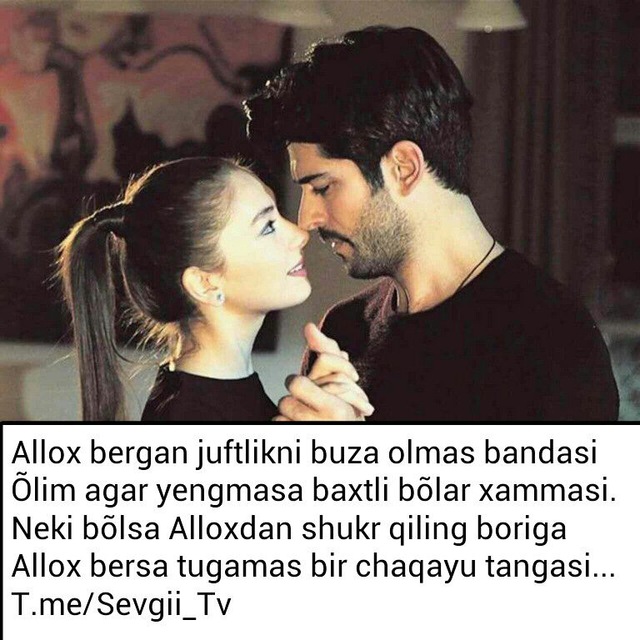 Keksa odam mushukni yalaydi