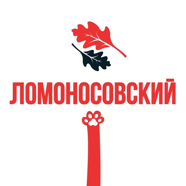 Ломоносовский обзорщик