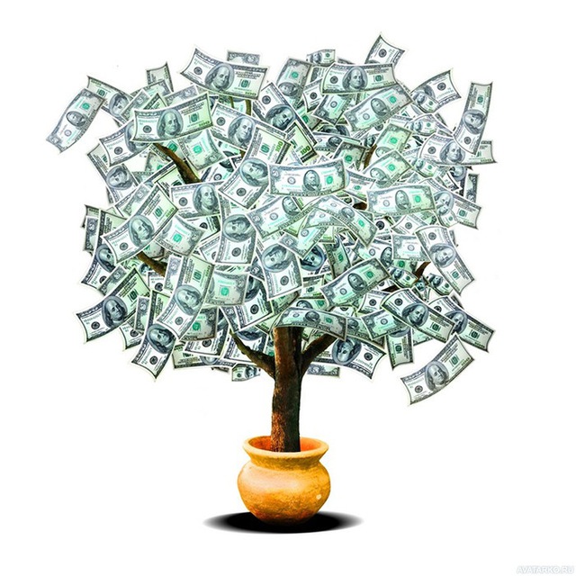 Инвестиции от Михаила Сафина