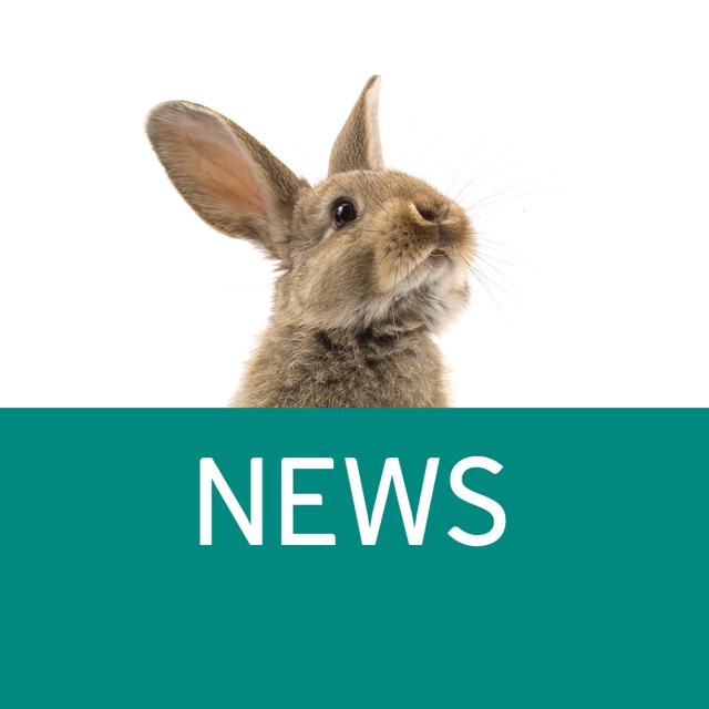 Pro.Expert NEWs - Сообщество профессионалов