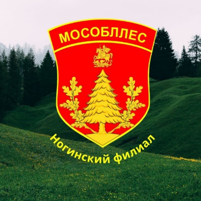 Ногинское лесничество