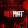 💰 WILD PROFIT