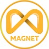 ПУТЬ в MAGNET