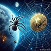 Crypto Spider
