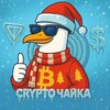Crypto Чайка