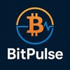BitPulse RU