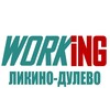 ЛИКИНО-ДУЛЕВО Работа