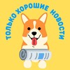 Только Хорошие Новости ️