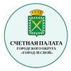 Счетная палата городского округа "Город Лесной"